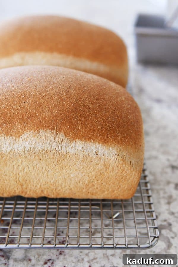 Effortless KitchenAid Small Batch Soft Fluffy Whole Wheat Bread 2 Two loaves of small batch whole wheat bread on cooling rack, ready to be enjoyed.