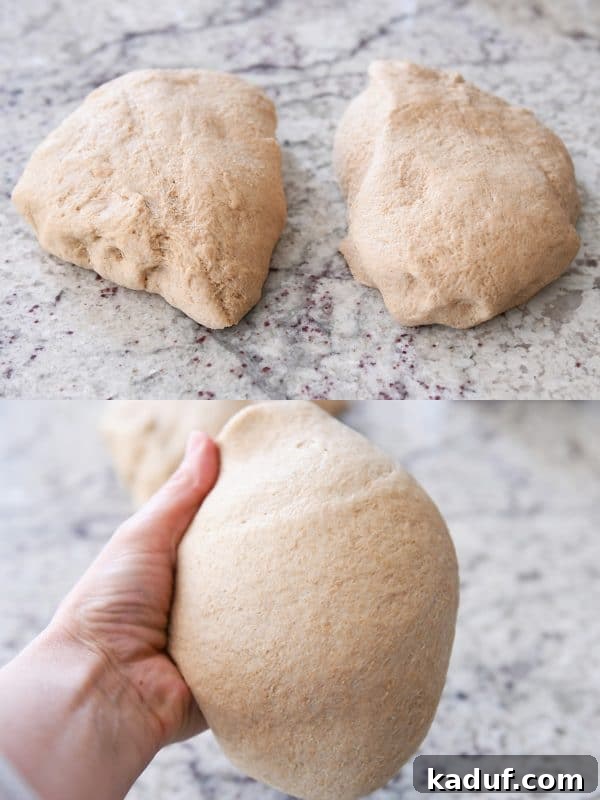 Effortless KitchenAid Small Batch Soft Fluffy Whole Wheat Bread 11 Whole wheat bread dough cut in half, ready for shaping and baking.