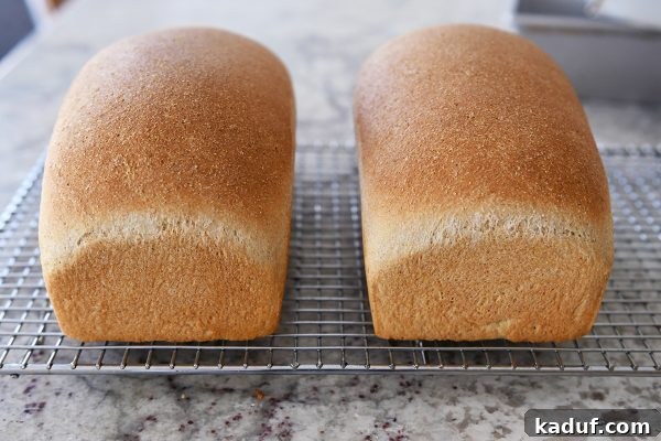 Effortless KitchenAid Small Batch Soft Fluffy Whole Wheat Bread 13 Two loaves of cooked whole wheat bread on a cooling rack, golden and ready.