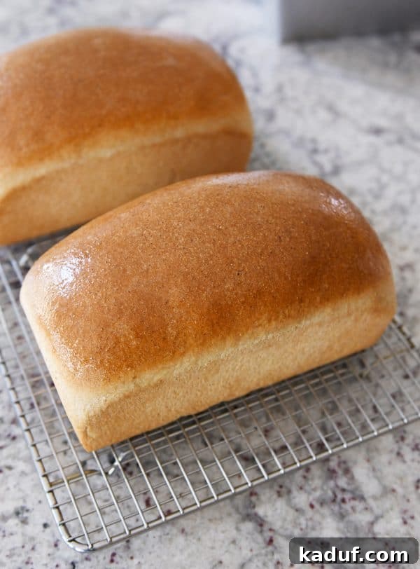 Effortless KitchenAid Small Batch Soft Fluffy Whole Wheat Bread 14 Two loaves of small batch whole wheat bread slathered in butter on cooling rack, a tempting sight.