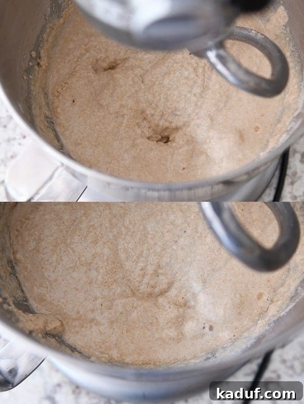 Effortless KitchenAid Small Batch Soft Fluffy Whole Wheat Bread 7 Whole wheat bread dough resting and ready for more flour, showing the activated sponge.