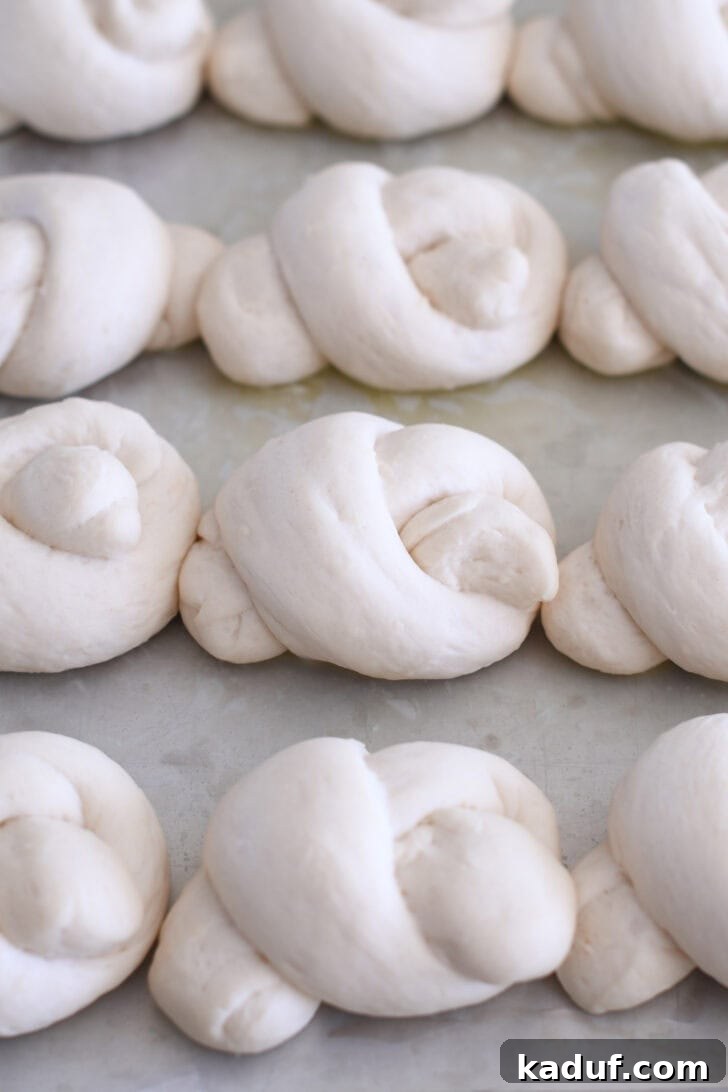 Quick Cheesy Parmesan Knots 5 Nine perfectly risen breadstick dough knots resting on a buttered baking sheet, indicating they are fully proofed and ready for the oven.