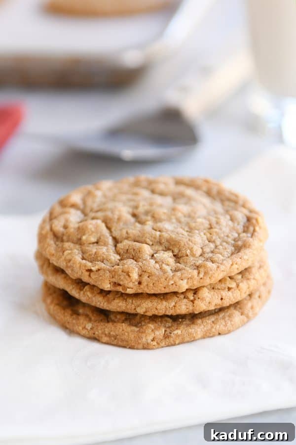 Spiced Gingerbread Cookie Butter Oatmeal Cookies 2 Three gingerbread oatmeal cookies stacked on white napkin, showcasing their soft texture and appealing color.