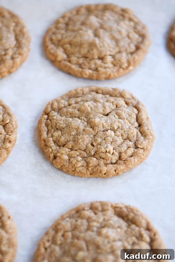 Spiced Gingerbread Cookie Butter Oatmeal Cookies 3 Freshly baked gingerbread oatmeal cookies cooling on parchment paper, showing their inviting texture.