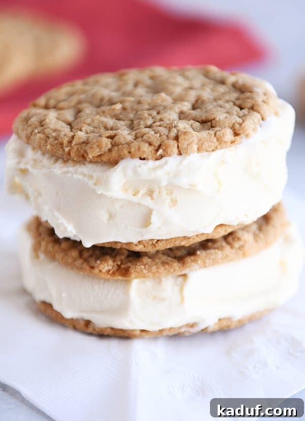 Spiced Gingerbread Cookie Butter Oatmeal Cookies 4 Stack of gingerbread oatmeal cookies transformed into delightful ice cream sandwiches.