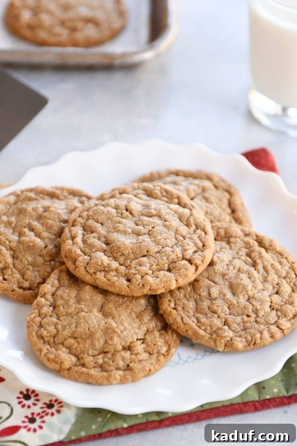 Spiced Gingerbread Cookie Butter Oatmeal Cookies 5 A cluster of gingerbread oatmeal cookies arranged on a white scalloped plate, ready to be enjoyed.