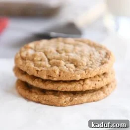 Three gingerbread oatmeal cookies stacked on white napkin.