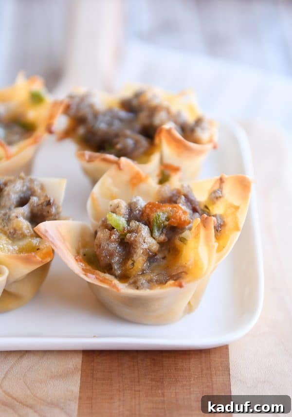Crispy Cheesy Sausage Wontons 2 A white plate showcasing several golden-brown cheesy sausage wonton bites, one with a missing bite, highlighting the delicious filling.