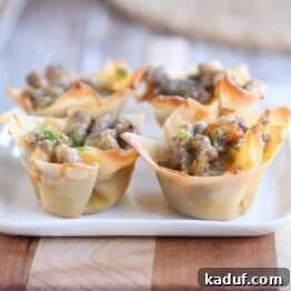 Crispy Cheesy Sausage Wontons 6 A white plate featuring a cluster of golden-brown cheesy sausage wonton bites.