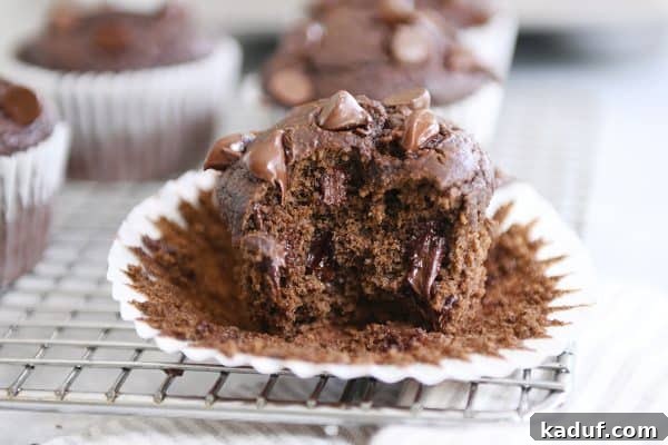 Gluten-Free Double Chocolate Banana Blender Muffins 3 Bite taken out of double chocolate banana blender muffin with chocolate chips on top.