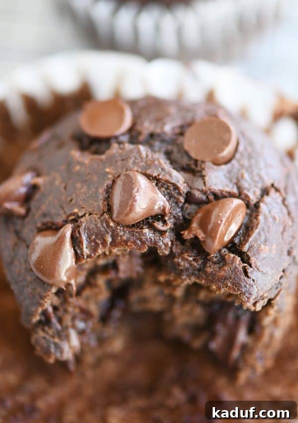 Gluten-Free Double Chocolate Banana Blender Muffins 8 Close up view of bite taken out of double chocolate banana blender muffin with chocolate chips on top.