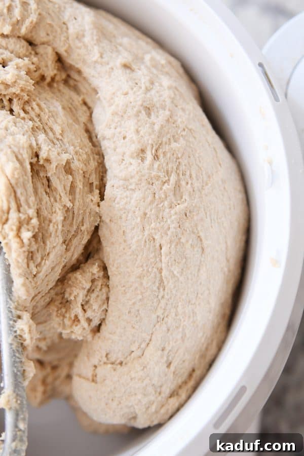 Mastering Yeast Baking: Modern Techniques 12 Bread dough after it has been kneaded.