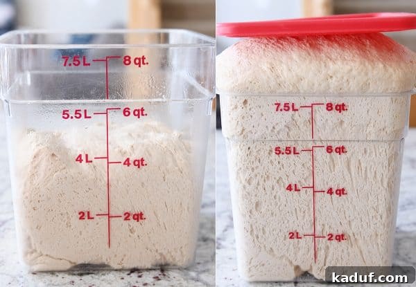 Mastering Yeast Baking: Modern Techniques 13 Bread dough side by side unrisen and risen