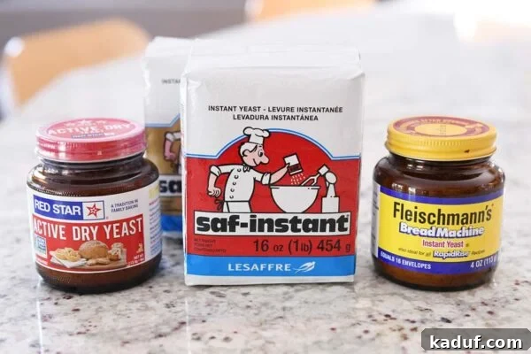 Mastering Yeast Baking: Modern Techniques 3 Active dry yeast, instant yeast and bread machine yeast.