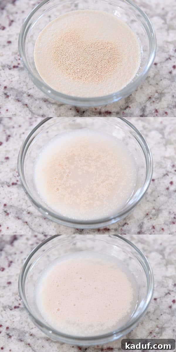 Mastering Yeast Baking: Modern Techniques 6 Proofing yeast in water.