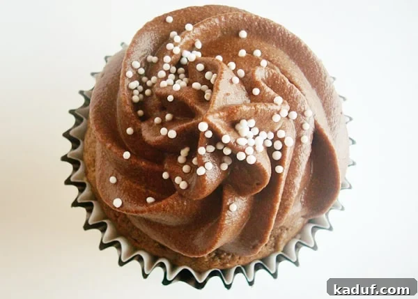 Recess Cupcake Delights 3 A close-up view of a beautifully piped chocolate frosted cupcake, adorned with whimsical white sprinkles for an extra touch of charm.