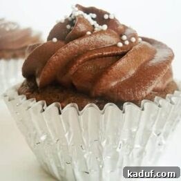 A delectable schoolyard chocolate cupcake, perfectly baked and frosted with a rich chocolate topping.