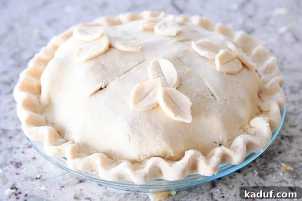 Thanksgivings Beloved Apple Cranberry Pie 12 Unbaked apple cranberry pie with top crust and slits in the top.