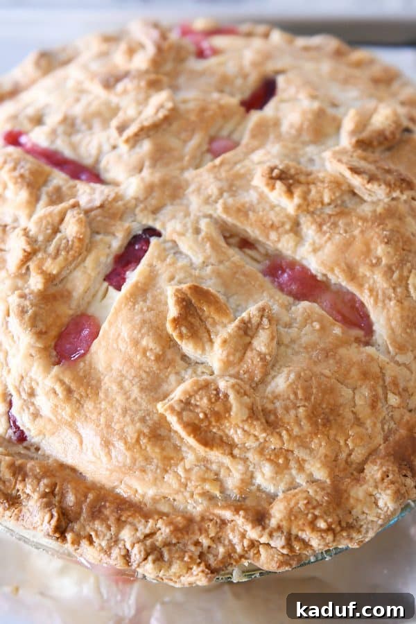 Thanksgivings Beloved Apple Cranberry Pie 15 Baked apple cranberry pie.