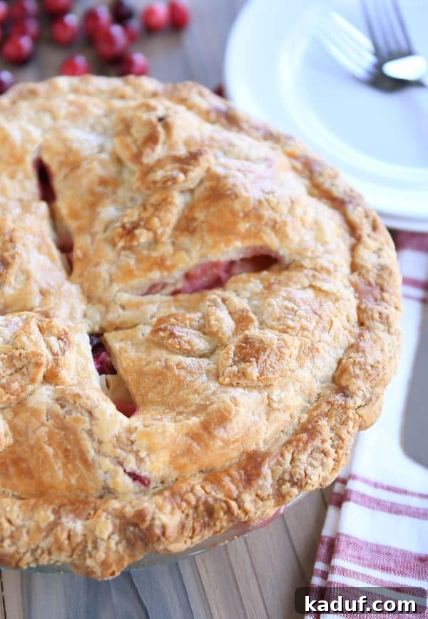 Thanksgivings Beloved Apple Cranberry Pie 3 Baked apple cranberry pie.