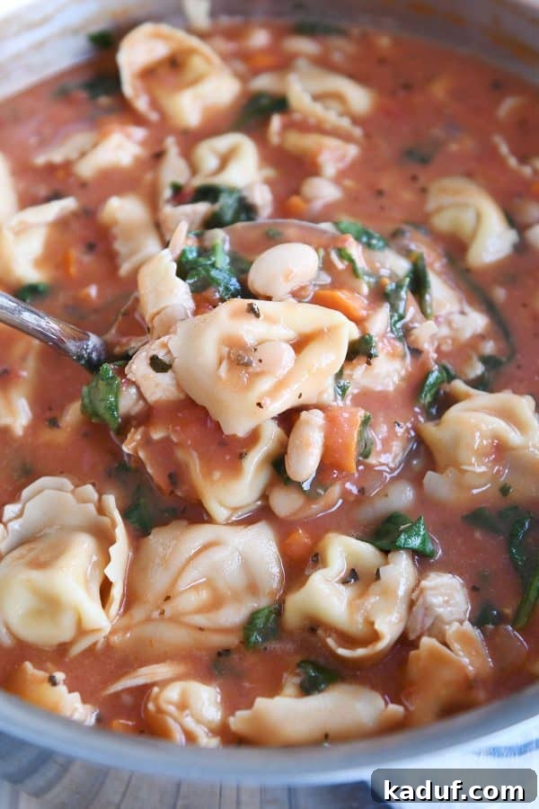 A ladle serving a generous portion of quick and easy creamy Tuscan tortellini soup from a large pot.