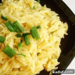 Simple Orzo Pilaf