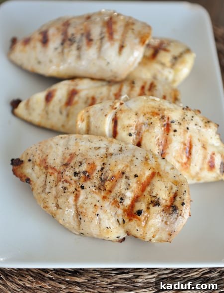 Caribbean Charred Chicken 3 A large white platter elegantly presenting multiple perfectly grilled chicken breasts, showcasing their golden-brown char marks and succulent appearance.