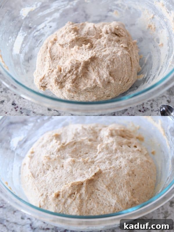 Risen and unrisen easy homemade english muffin dough in glass bowl.
