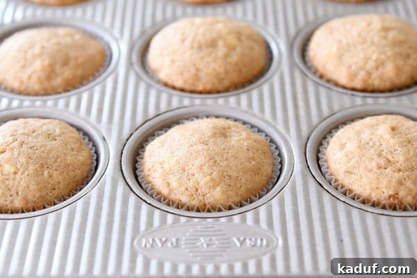 Irresistible Banana Muffins 11 Freshly baked banana muffins cooling in their muffin tin, golden and inviting.