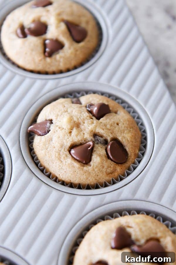 Irresistible Banana Muffins 13 A single banana muffin, rich with chocolate chips, nestled in its liner within the muffin tin.