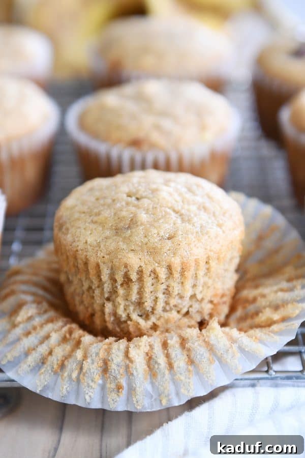 Irresistible Banana Muffins 15 A single, perfectly baked banana muffin, unwrapped and resting on a wire rack.