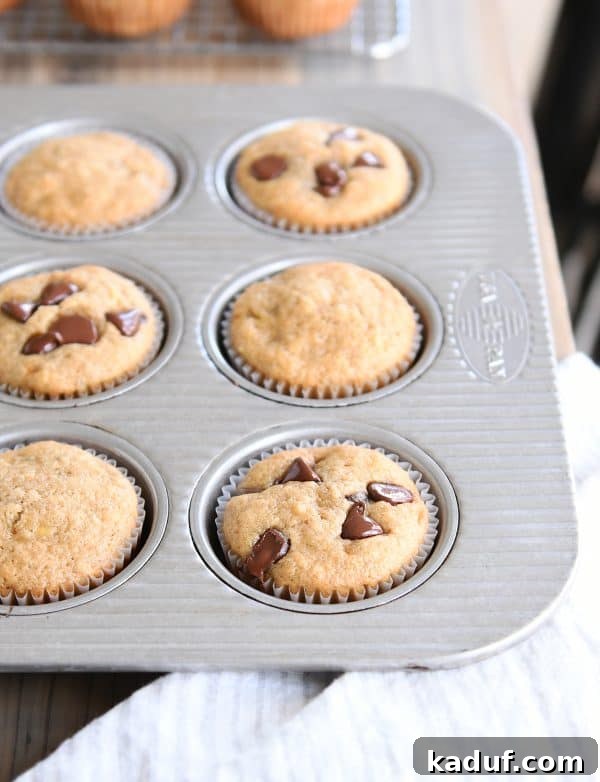 Irresistible Banana Muffins 3 A vibrant display of banana muffins with and without chocolate chips, neatly arranged in a muffin tin.