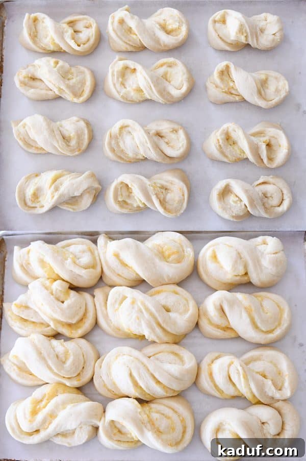 Sun-Kissed Orange Swirl Rolls 12 Risen homemade orange sweet rolls.