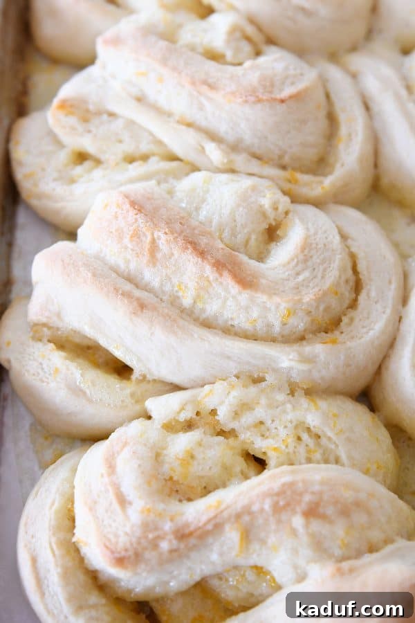 Sun-Kissed Orange Swirl Rolls 13 Baked but unfrosted homemade orange sweet rolls on sheet pan.