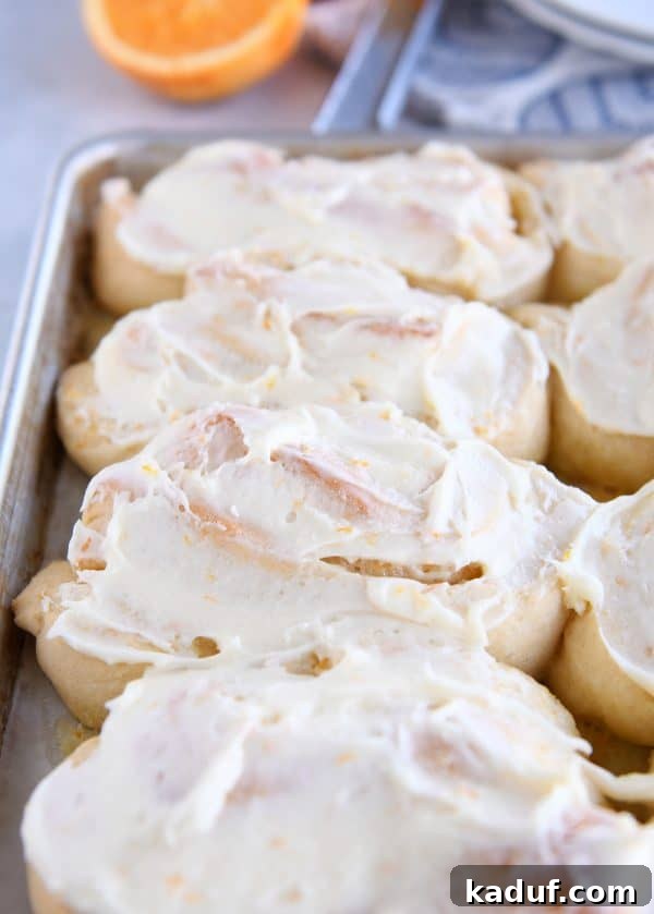 Sun-Kissed Orange Swirl Rolls 3 Baked homemade orange sweet rolls on a sheet pan with frosting.