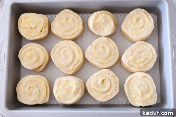 Sun-Kissed Orange Swirl Rolls 9 Unrisen homemade orange sweet rolls in a pan.