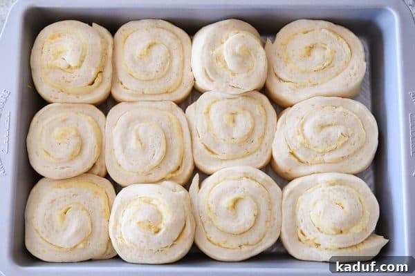 Sun-Kissed Orange Swirl Rolls 10 Top down view of risen sweet rolls ready to bake.