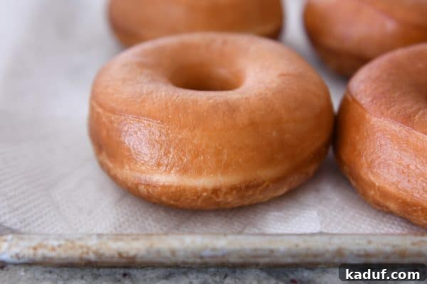 Melt-in-Your-Mouth Homemade Glazed Donuts 20 Homemade glazed donuts cooling on a paper towel-lined baking sheet after frying.
