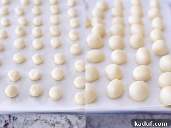 Melt-in-Your-Mouth Homemade Glazed Donuts 22 Donut holes rising on a parchment-lined baking sheet, looking plump and ready for frying.