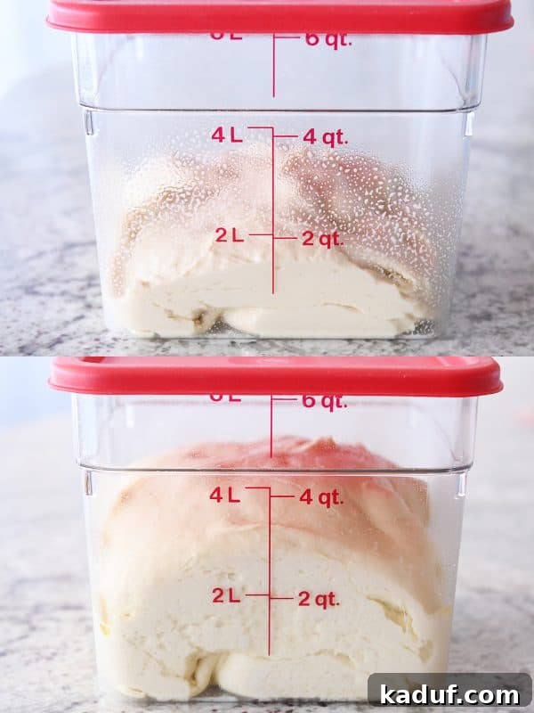 Melt-in-Your-Mouth Homemade Glazed Donuts 10 Homemade donut dough gently rising in a 4-quart plastic bucket with a red lid in the refrigerator.