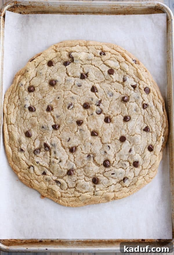 Effortless 12-Inch Monster Chocolate Chip Cookie 2 A perfectly golden-brown, 12-inch giant chocolate chip cookie, freshly baked on a sheet pan, promising an ultimate sweet indulgence.