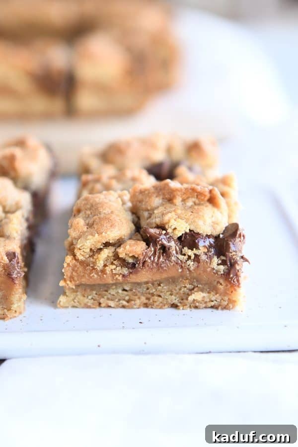 A soft and chewy caramel peanut butter s'mores cookie bar artfully arranged on a pristine white platter.