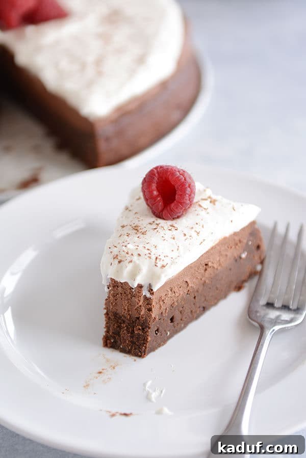 Cloud Nine Chocolate Mousse Torte 2 A slice of rich double chocolate mousse torte with a bite taken out, resting on a pristine white plate.