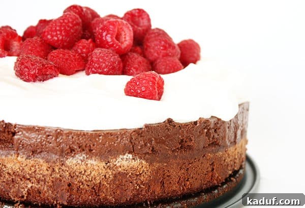 Cloud Nine Chocolate Mousse Torte 11 A beautifully presented chocolate torte, generously topped with whipped cream and a scattering of fresh, ripe raspberries.