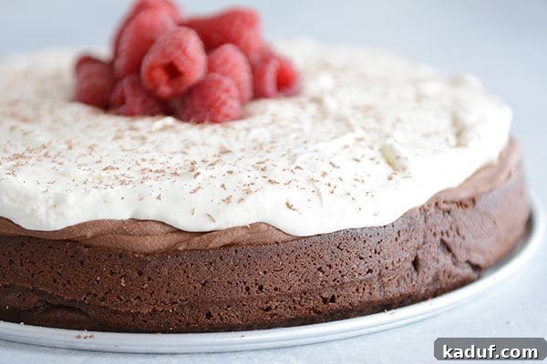 Cloud Nine Chocolate Mousse Torte 5 A stunning chocolate torte topped with layers of rich chocolate mousse, fluffy whipped cream, and vibrant fresh raspberries on a simple white plate.