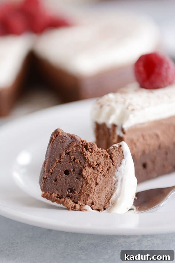 Cloud Nine Chocolate Mousse Torte 8 A close-up of a slice of double chocolate mousse torte with a perfect bite removed, highlighting its rich layers and smooth texture.