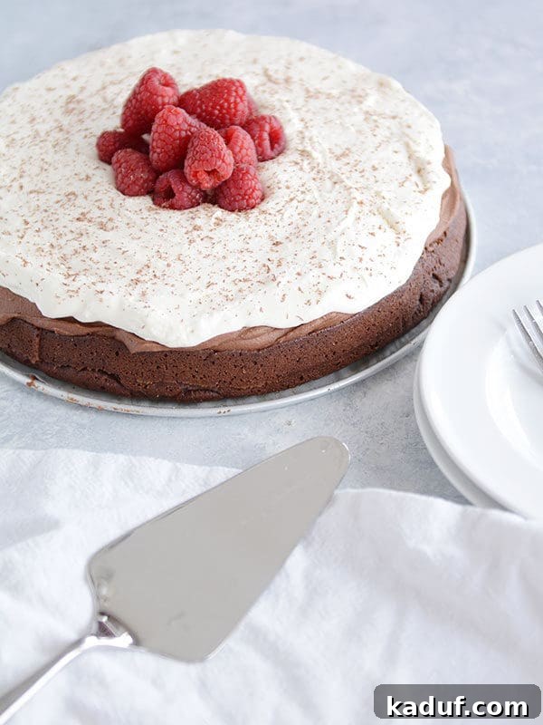 Cloud Nine Chocolate Mousse Torte 9 A magnificent chocolate torte elegantly adorned with a swirl of whipped cream, a delicate sprinkle of cinnamon, and fresh, ruby-red raspberries.