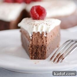 Cloud Nine Chocolate Mousse Torte 10 A slice of rich double chocolate mousse torte with a perfect bite removed, placed on a white plate