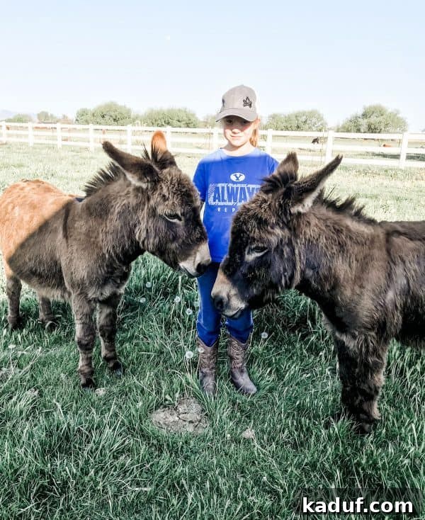 Weekly Wind Down 5 girl standing between two miniature donkeys