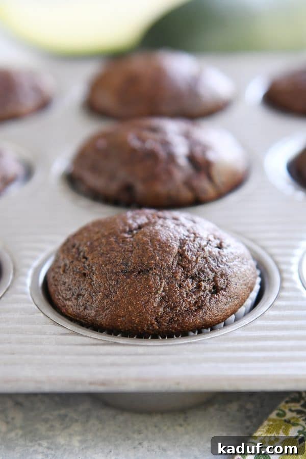 Wholesome Double Chocolate Zucchini Muffins 6 A freshly baked zucchini muffin still in its aluminum muffin tin, showcasing its deep brown, chocolatey color and soft texture.